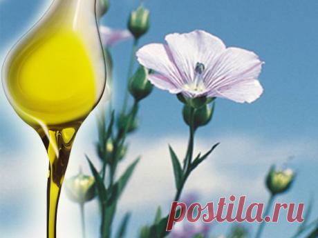 Льняное масло полезные свойства | Самая полная информация