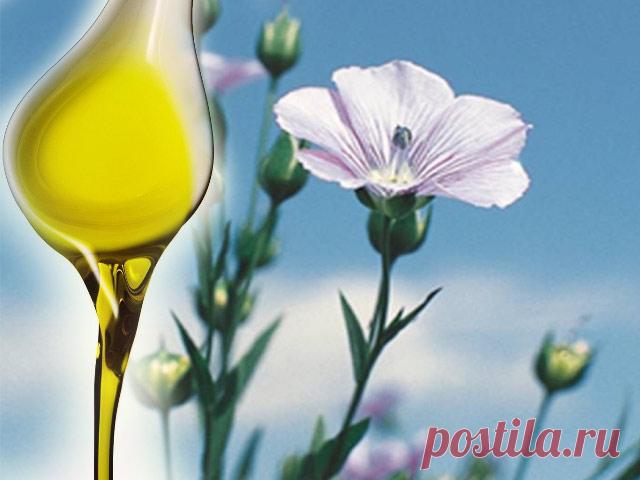 Льняное масло полезные свойства | Самая полная информация