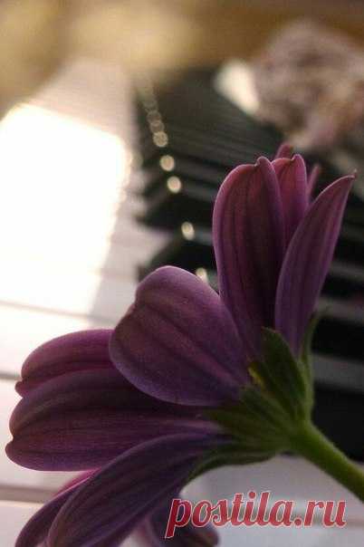 Счастье приходит к тому, кто ищет его и думает о нем меньше всего. Счастье – не объект для поисков; это всего лишь состояние. Не нужно идти за счастьем, оно должно идти за вами. Оно должно захватить вас, а не вы его.

Джон Берроуз