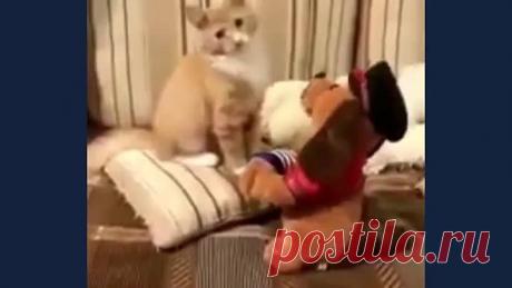 Ну где же ты, любовь моя? Очень доброе видео!