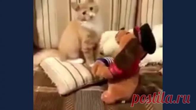 Ну где же ты, любовь моя? Очень доброе видео!