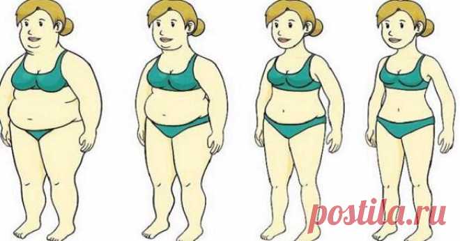 Чем заменить сладкое, мучное и вредное 












 


Все девушки хотят быть стройными и худенькими и в то же время обожают сладенькое и мучное: булочки, пирожные, а также жареную, вредную еду. Но, как известно, зачастую стройная фигура …