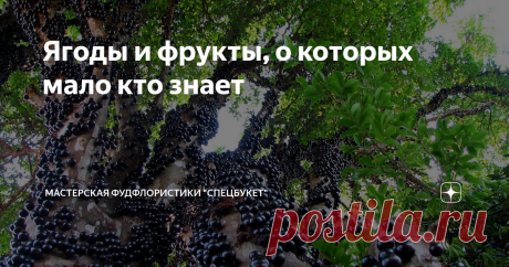 Ягоды и фрукты, о которых мало кто знает Яблоки, груши, абрикосы и персики, смородина и крыжовник. Добавим к этому цитрусовые - апельсины, мандарины и грейпфруты. Это те ягоды и фрукты, которые знает любой житель средней полосы. Но знаете ли вы, что существуют совершенно непривычные нашему вкусу плоды, которые любят на других континентах? Расскажем про самые интересные из них.                             Что ж, мы не обещаем, что сможем найти для вашего букета экзотический...