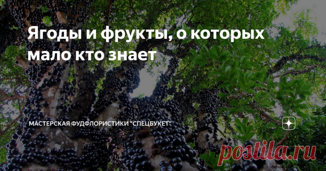 Ягоды и фрукты, о которых мало кто знает Яблоки, груши, абрикосы и персики, смородина и крыжовник. Добавим к этому цитрусовые - апельсины, мандарины и грейпфруты. Это те ягоды и фрукты, которые знает любой житель средней полосы. Но знаете ли вы, что существуют совершенно непривычные нашему вкусу плоды, которые любят на других континентах? Расскажем про самые интересные из них.                             Что ж, мы не обещаем, что сможем найти для вашего букета экзотический...