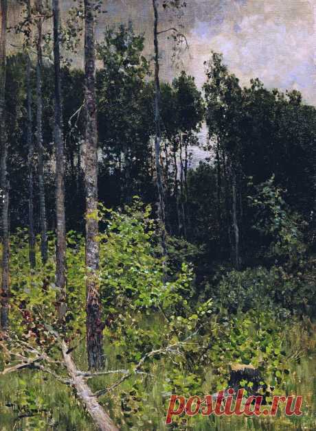 Художник Исаак Ильич Левитан (1860-1900).
"Осиновая рощица. Серый день", 1884 г.