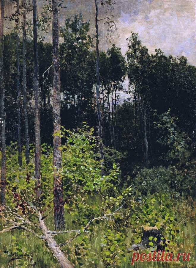 Художник Исаак Ильич Левитан (1860-1900).
