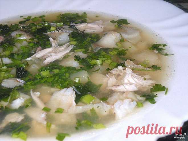 Уха из судака - пошаговый кулинарный рецепт на Повар.ру