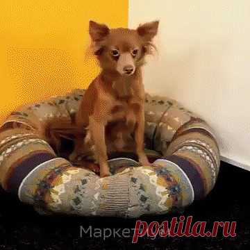 (48) Одноклассники