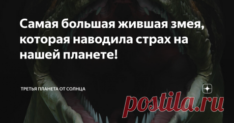 Самая большая жившая змея, которая наводила страх на нашей планете! Титанобоа (Titanoboa cerrejonensis), вымершая змея, жившая в эпоху палеоцена (от 66 млн до 56 млн лет назад), считается самым крупным известным членом подотряда Serpentes.
Титанобоа известен из нескольких ископаемых, которые были датированы от 58 миллионов до 60 миллионов лет назад. Из экстраполяций размеров тела, сделанных из раскопанных позвонков (отдельных участков позвоночника).
Палеонтологи