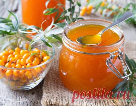 Рецепты заготовок из облепихи на зиму: варенье без косточек, сок из облепихи, протертая облепиха без варки.