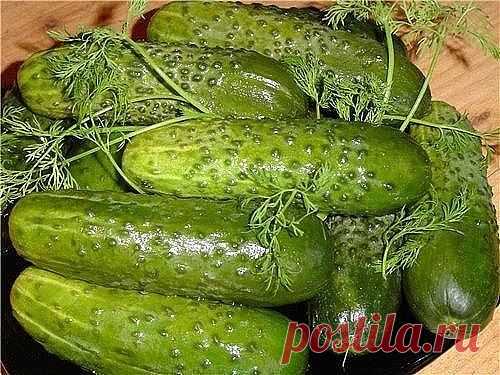 ОГУРЦЫ - М/С ЭКСПРЕСС !!!  **Огурцы 4шт -чистый ошпарь кипятком, высуши, удали хвостики -и вдоль на 4части. *Огурцы, чеснок 3зуб, соль 1ч/л, укроп -смешай. *В пакет или контейнер на 3ч, стоит на кухне.