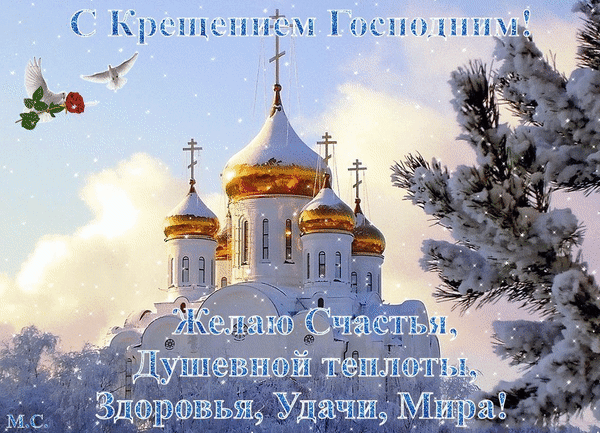 Анимированная открытка С Крещением Господним!, с пожеланиями, голуби, красная роза