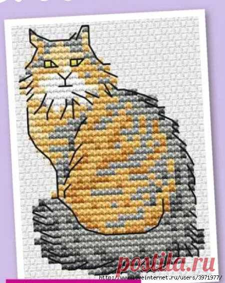 Кошка