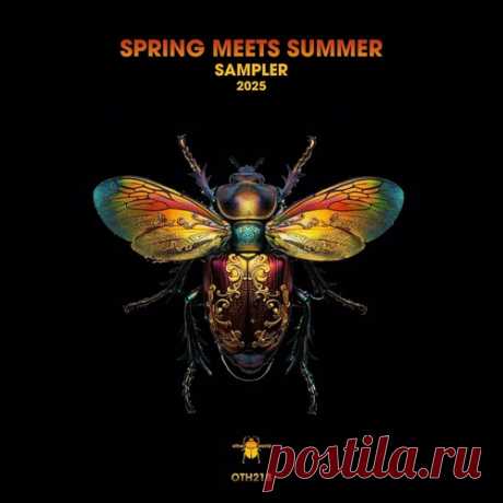 VA - Spring Meets Summer Sampler 2025 free download mp3 music 320kbps
