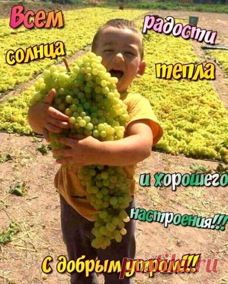 Мотиваторы и Демотиваторы