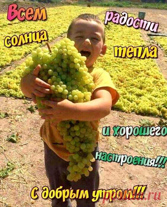 Мотиваторы и Демотиваторы