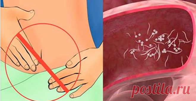 Вот как быстро очистить свое тело от паразитов и уменьшить жировые отложения, используя всего 2 ингредиента! Очень простое и эффективное средство! После его применения вы будете поражены той энергии, которая у вас будет! Желание съесть что-нибудь сладкое возникает у многих и если это происходит не очень часто, то нет ничего страшного в