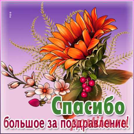 Моя благодарность не знает границ,
Могу описать ее сотней страниц!