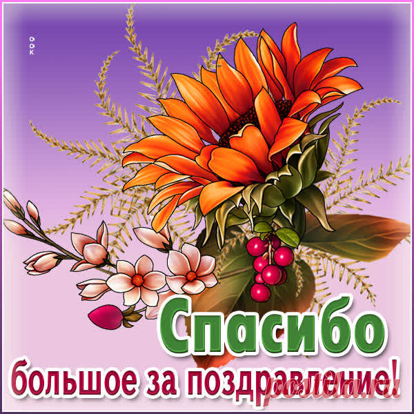 Моя благодарность не знает границ,
Могу описать ее сотней страниц!