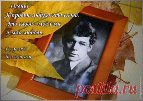 (99) Одноклассники