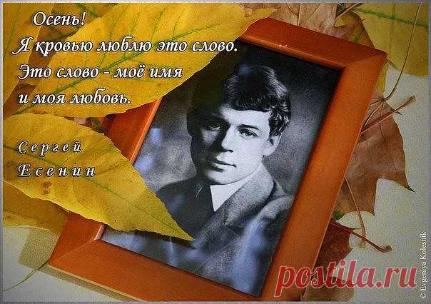 (99) Одноклассники