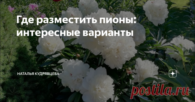 Где разместить пионы: интересные варианты Каким бы ни был ваш сад, какие бы растения в нем не произрастали, какими бы необычными формами вы его ни наполняли, в июне, когда зацветают пионы, все внимание принадлежит только им. Травянистые пионы - великолепные и чрезвычайно разнообразные цветы, причем совершенно несложные в уходе. Они способны расти на одном месте несколько десятков лет и с каждым голом становятся все ярче и красивей. Периодически, как и любые растения, пионы...