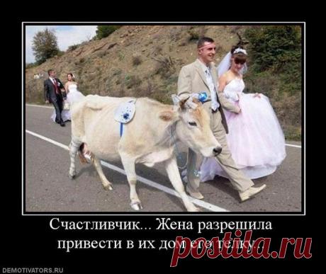 Мышление успешного человека.