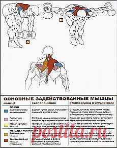 Спорт-упражнения | Здоровье тела и души. Как?