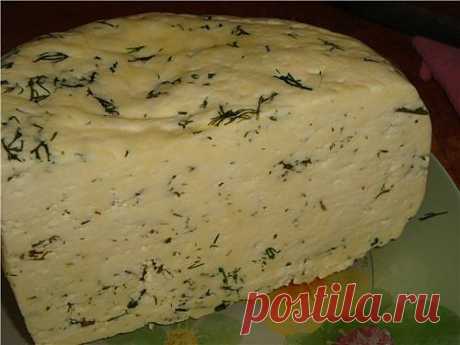 Сыр домаший с зеленью • Блюда из творога и сыра