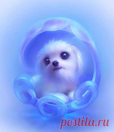 Умильный арт. :) » RadioNetPlus.ru развлекательный портал