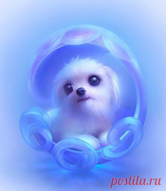 Умильный арт. :) » RadioNetPlus.ru развлекательный портал