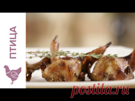 Cook Good - лучшие рецепты