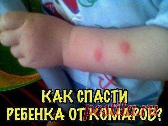 КАК СПАСТИ РЕБЕНКА ОТ КОМАРОВ?   

    Что помогло мне - рекомендую вам. Берем на заметку!