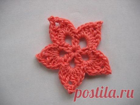 (5) Elifce Örgüler