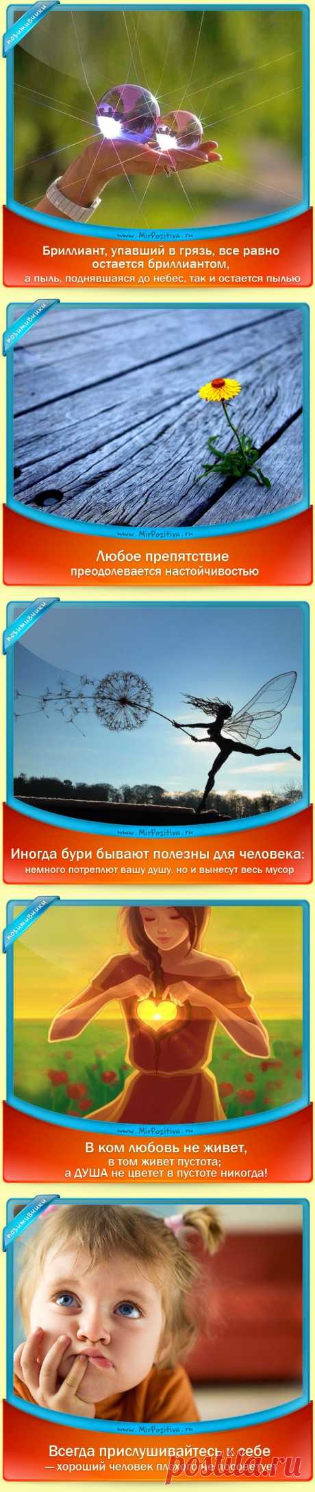 Позитивчики дня!