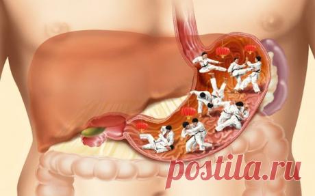 Переваривание пищи в желудке