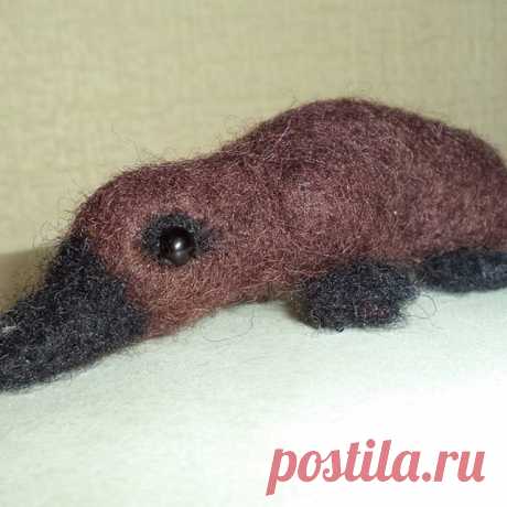 Мое любимое животное -утконос.  #валяниеизшерсти #утконос #сувенирыназаказ #handmadebyyoyo #handmade #felting #wool #creative #animals #octopus #