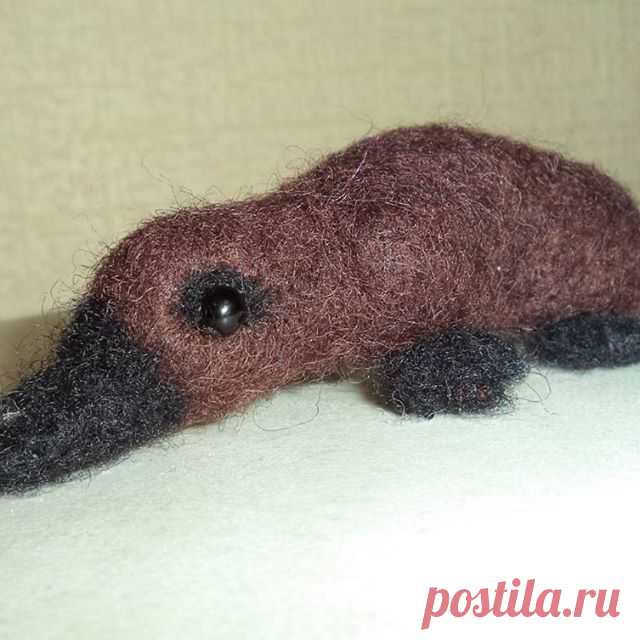 Мое любимое животное -утконос.  #валяниеизшерсти #утконос #сувенирыназаказ #handmadebyyoyo #handmade #felting #wool #creative #animals #octopus #