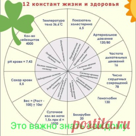 Вот некоторые цитаты, которые делают честь знаменитому врачу Бубновскому: 
1. Не стоит надеяться на чудодейственные пилюли. Задействуйте внутренние резервы своего организма.
2. Регулярно делайте утреннюю гимнастику, а еще – приседания.
3. Ни один кардиолог в мире не может показать мне пациента, который вылечился от гипертонии, принимая лекарственные препараты. То есть вас подсаживают сначала на одну таблетку, потом на целую пригоршню…
4.Я не видел здоровых людей, вышедших из больницы, я видел вы