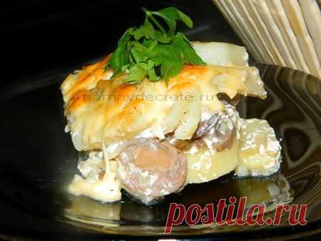 Картофельное гратте с грибами и сыром