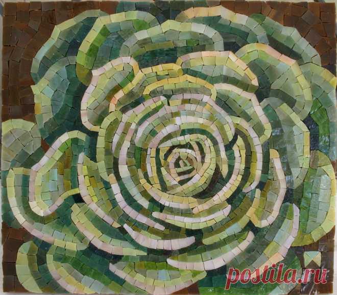 succulent done Ready to grout...