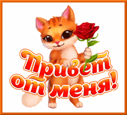 Привет от меня! Люблю тебя я!