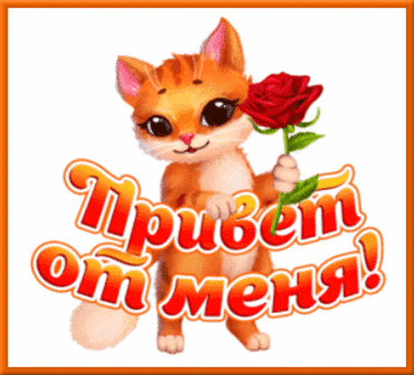 Привет от меня! Люблю тебя я!