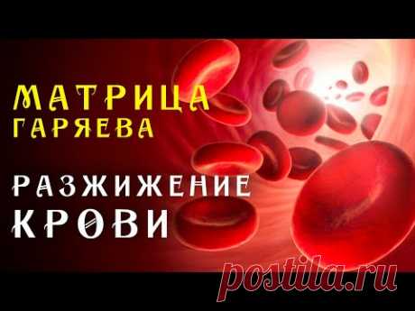 Мощная Матрица Гаряева для Разжижения Kpoви  ☀️ Квантовое Исцеление Сосудов Звуком