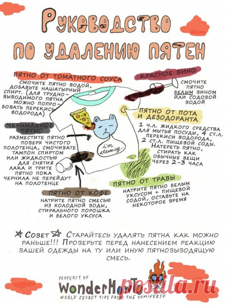 ИНФОГРАФИКА: Как удалить пятна с одежды