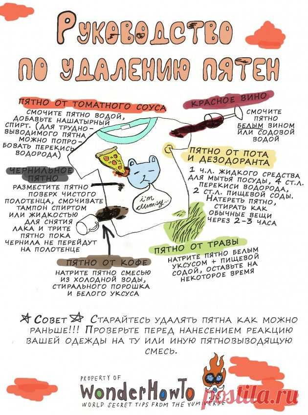ИНФОГРАФИКА: Как удалить пятна с одежды