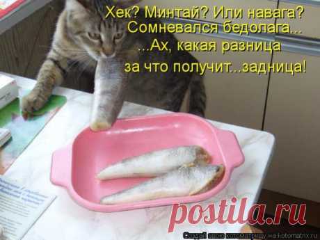 Какая разница?