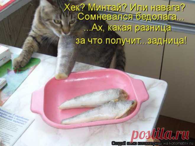 Какая разница?