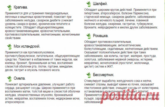 Рекомендуемый сбор прекрасно подходит для профилактики  злокачественных опухолей, обновляет строение клеток во всем организме. Противопоказаний не имеет. 
1. Настой из 16-ти трав: 
Шалфей — (35 г); 
Крапива — (25 г); 
Шиповник — (20 г); 
Бессмертник — (20 г) 
Толокнянка — (20 г); 
Череда — (20 г); 
Полынь горькая — (15 г); 
Тысячелистник — (10 г); 
Ромашка — (10 г); 
Сухоцвет — (10 г); 
Чабрец — (10 г); 
Кора крушины — (10 г); 
Березовые почки — (10 г); 
Трифоль (или цветк...