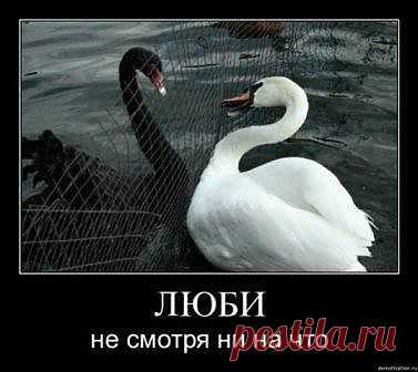 Никогда не сдавайтесь.Если уверены(конечно).